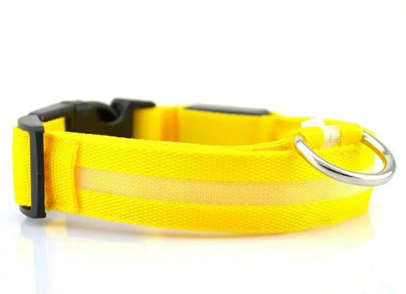 BrightPaw LED Pet Collar