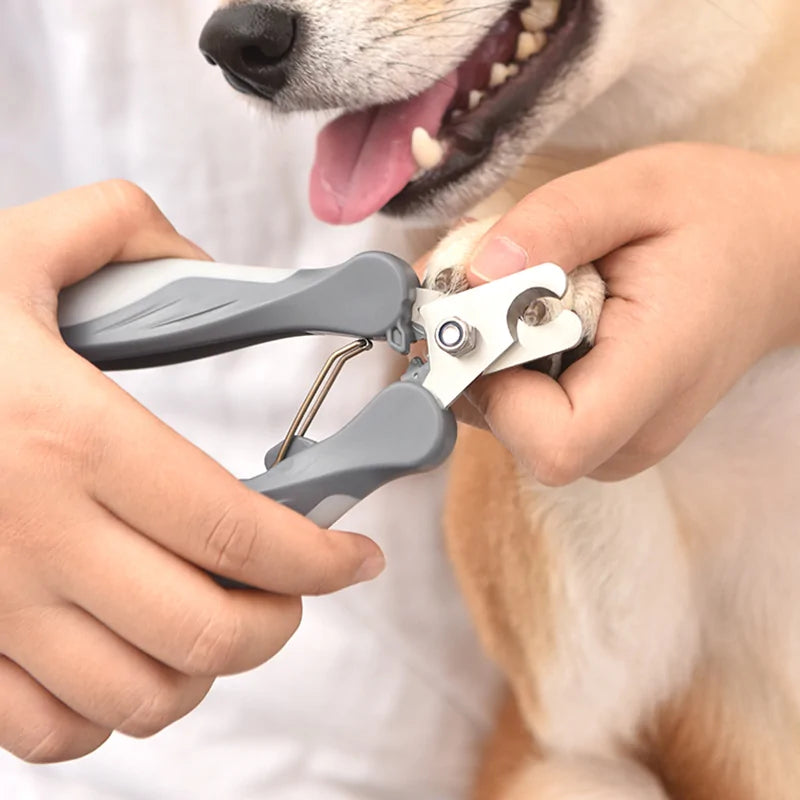 Stainless Steel Nail Clipper