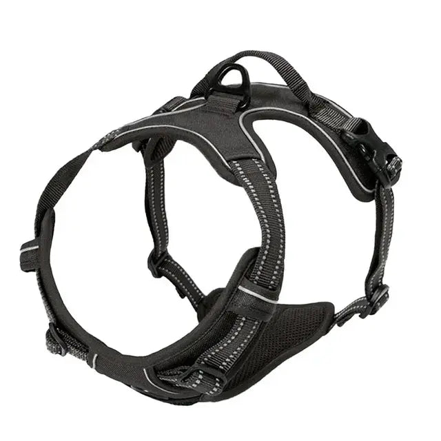 Fit and Secure Harness