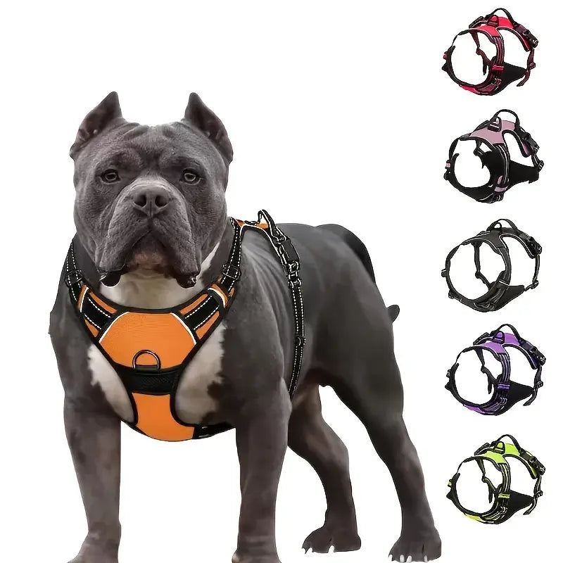 Fit and Secure Harness