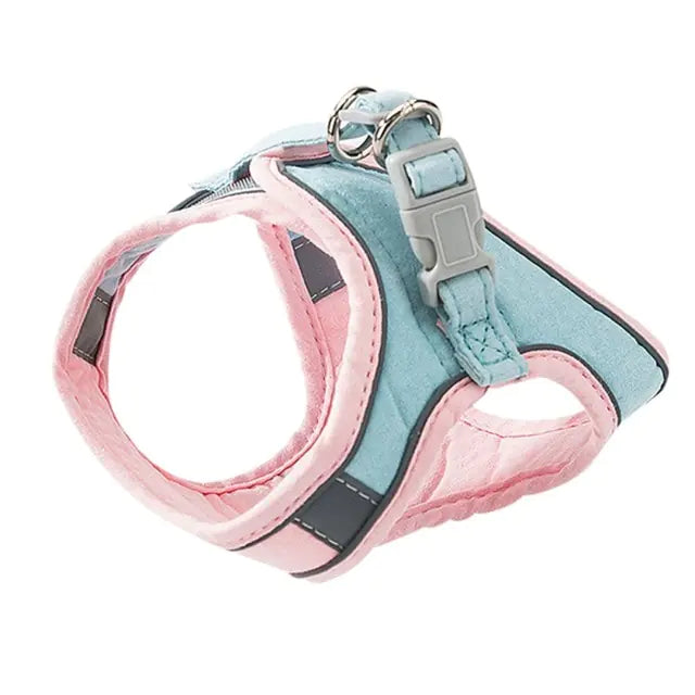 Pastel Cat Harness and Leash Set