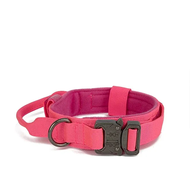 AdventurePro Durable Collar and Leash