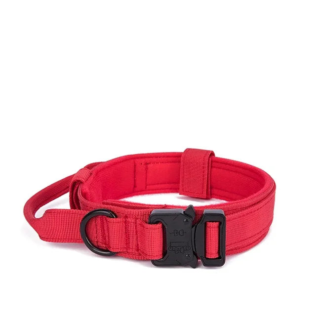 AdventurePro Durable Collar and Leash