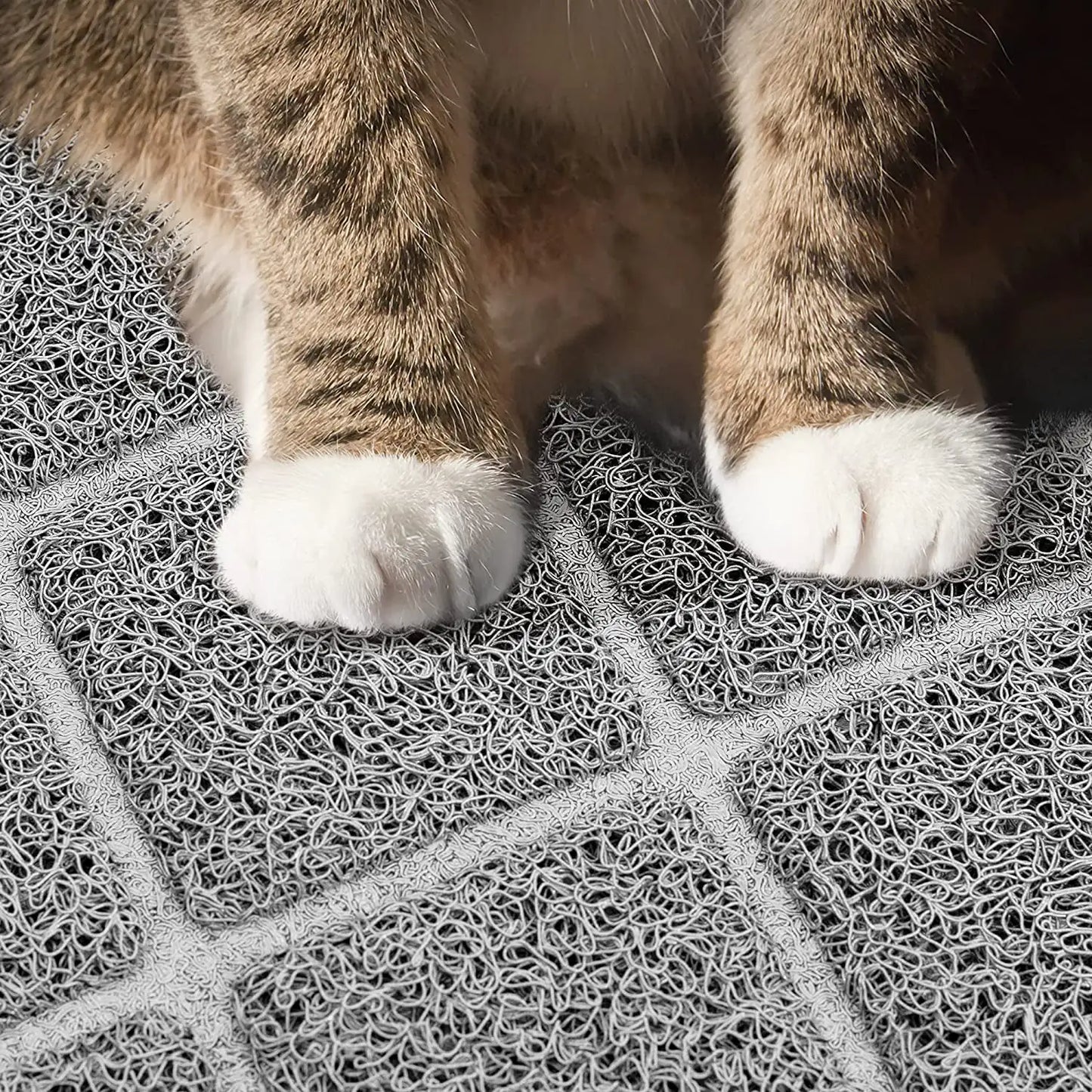 Non-Slip Litter Mat